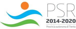 Logo-Psr